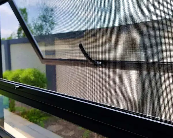 Every busy kitchen needs one more thing: Effective insect protection