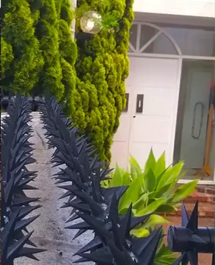 RolaGuard Rotational Security Spikes