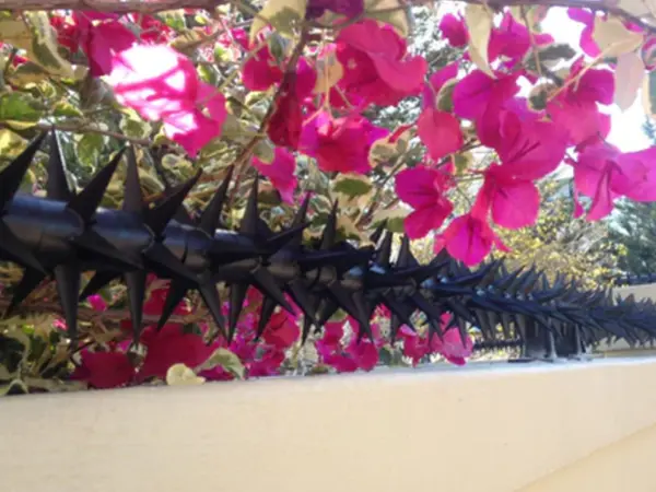 RolaGuard Rotational Security Spikes